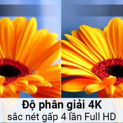 Smart Tivi TCL 4K 50 inch L50P62